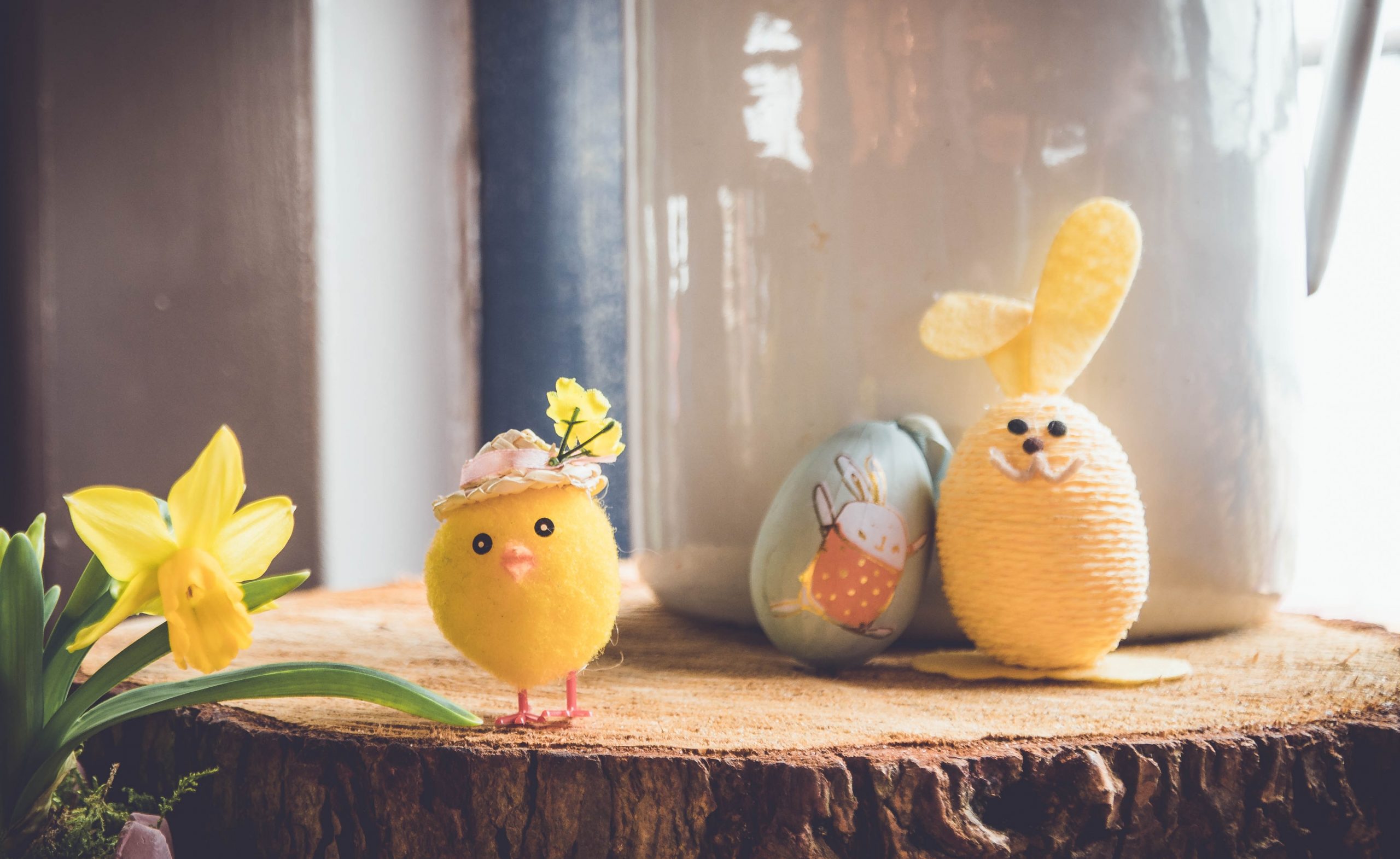 Easter chicks